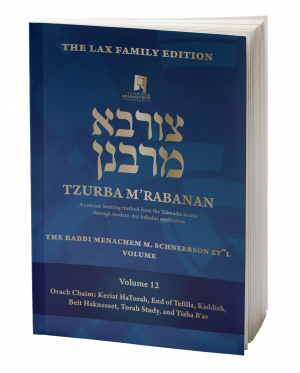 Volume 12 – The Rabbi Menachem M. Schneerson zt"l Volume